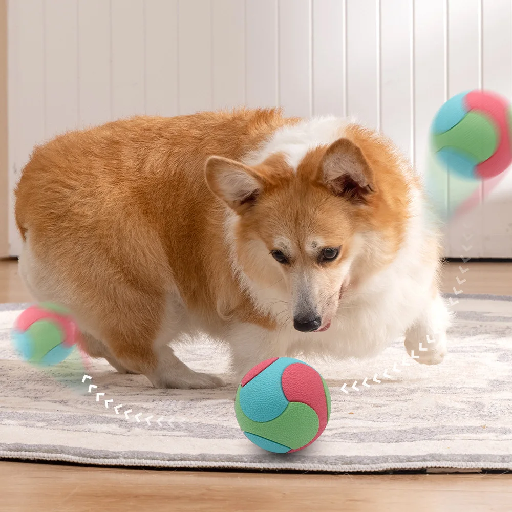 Bola de Borracha TPR para Cães: Brinquedo Elástico - Image 4