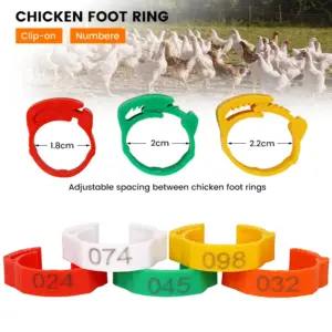 anel de identificação para aves