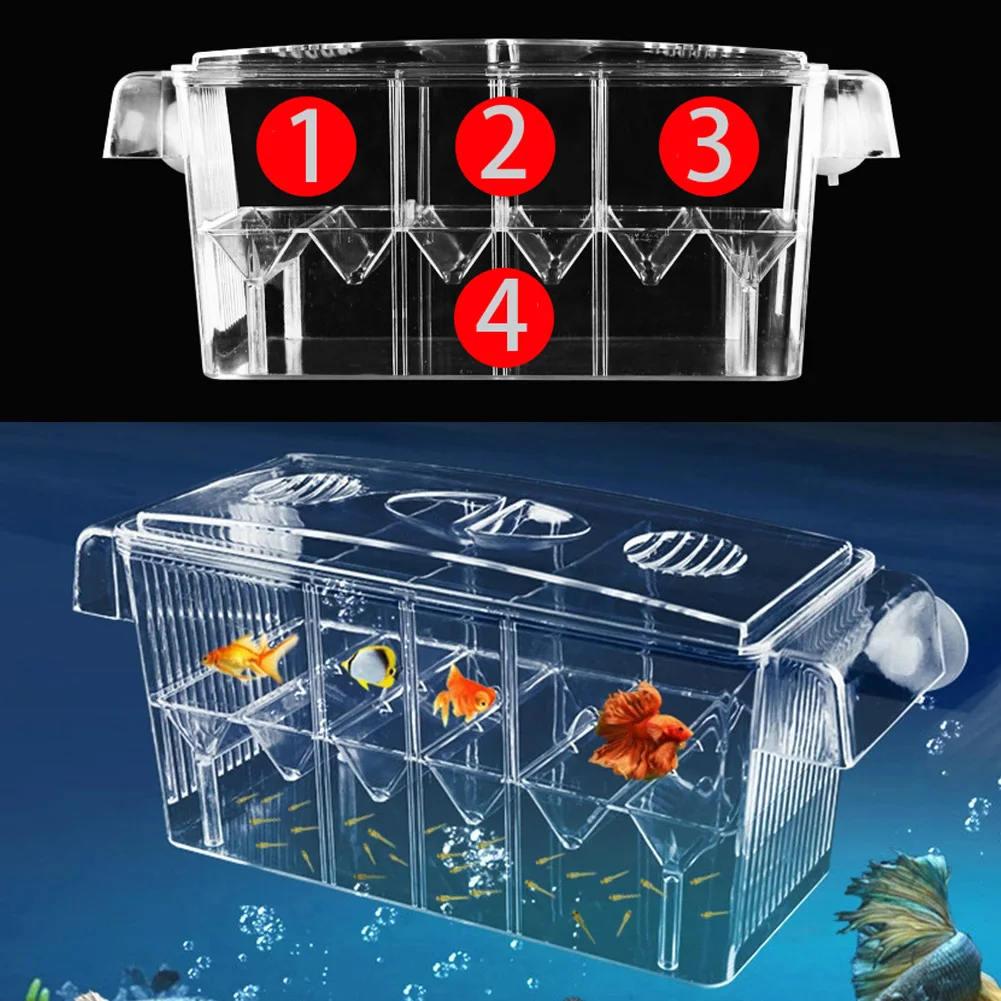 Caixa de Isolamento para Aquário 4 Quartos Acrílico Transparente 27 cm - Imagem 2