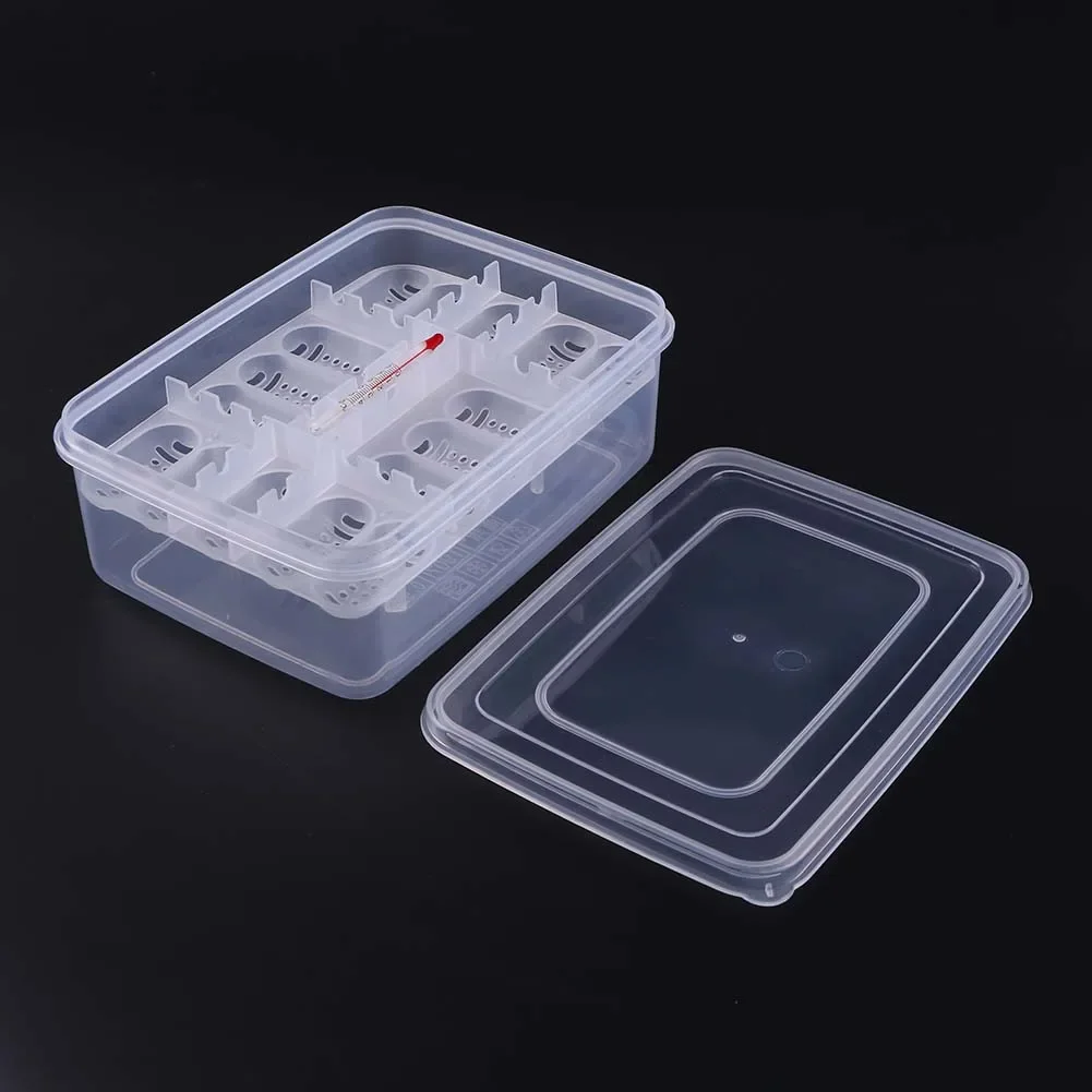 Bandeja Incubadora de Ovos para Répteis com 16 Grades - Imagem 5