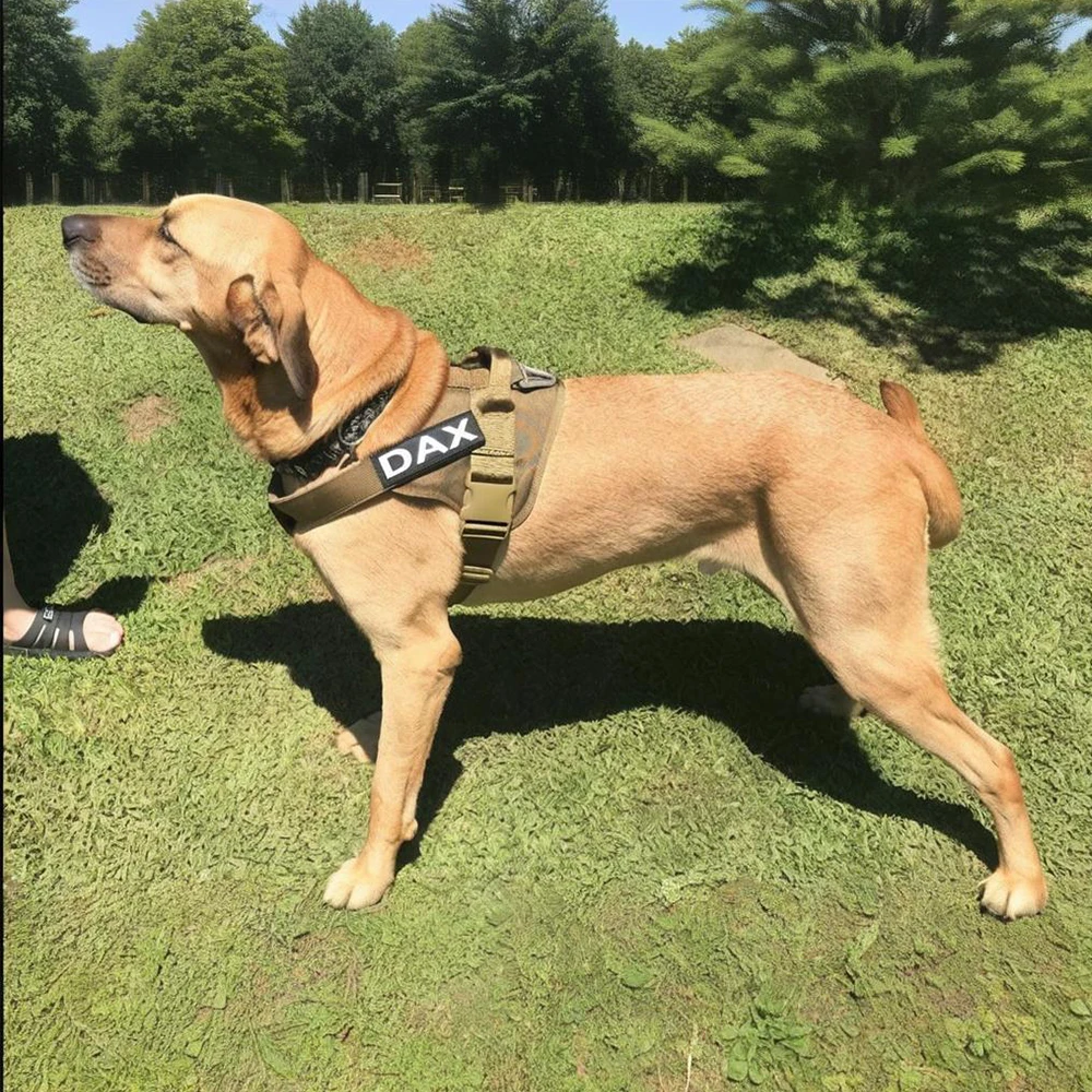 Colete Tático para Cães de Nylon Ajustável com Alça para Controle - Imagem 5