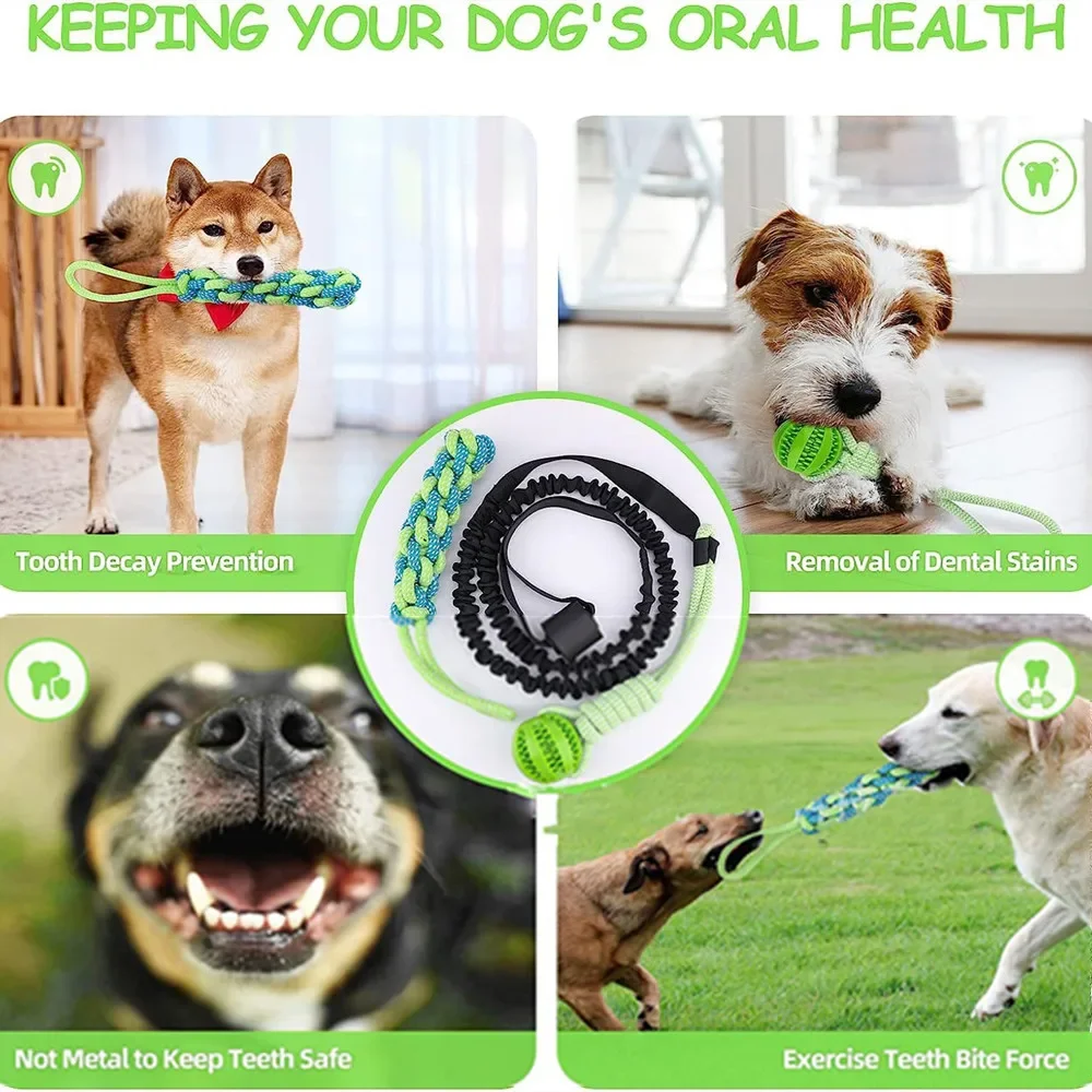 Brinquedo de Corda para Cães com Mola e Bola de Puxar - Imagem 5