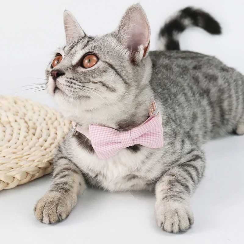 Coleira para Gatos Ajustável de Poliéster 23-30 cm - Imagem 2