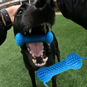 brinquedo interativo para cães com ventosa