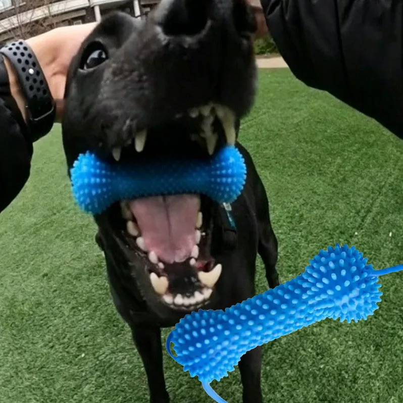 brinquedo interativo para cães com ventosa