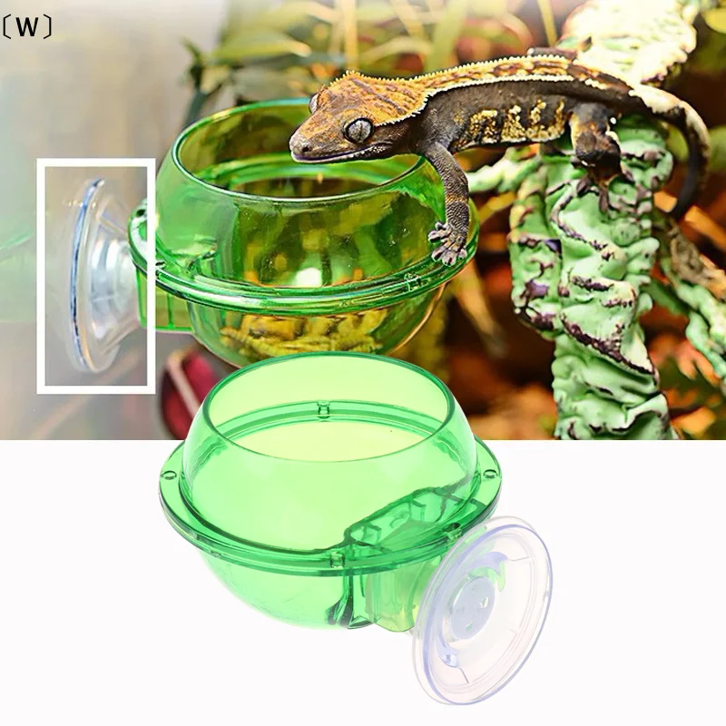 Tigela Alimentador para Répteis Arbóreos com Ventosa Anti-Escape - Imagem 2