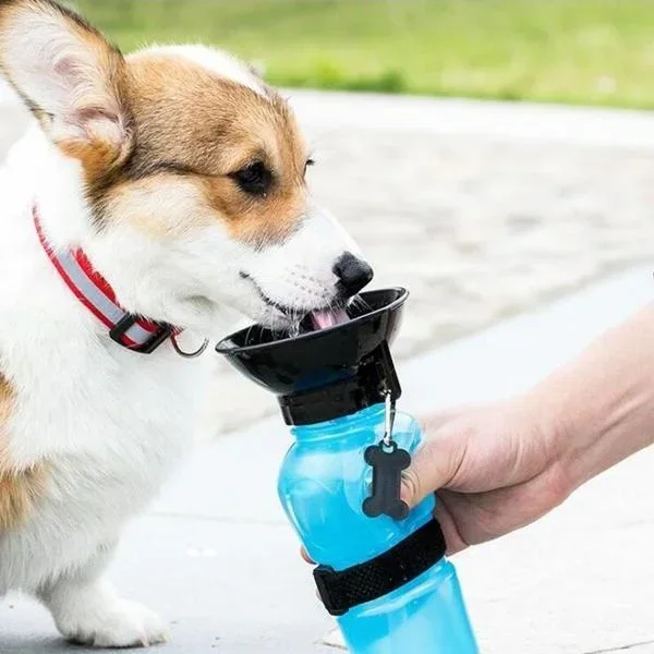 Garrafa de Água Portátil para Cães e Gatos 500ml para Viagem - Imagem 6