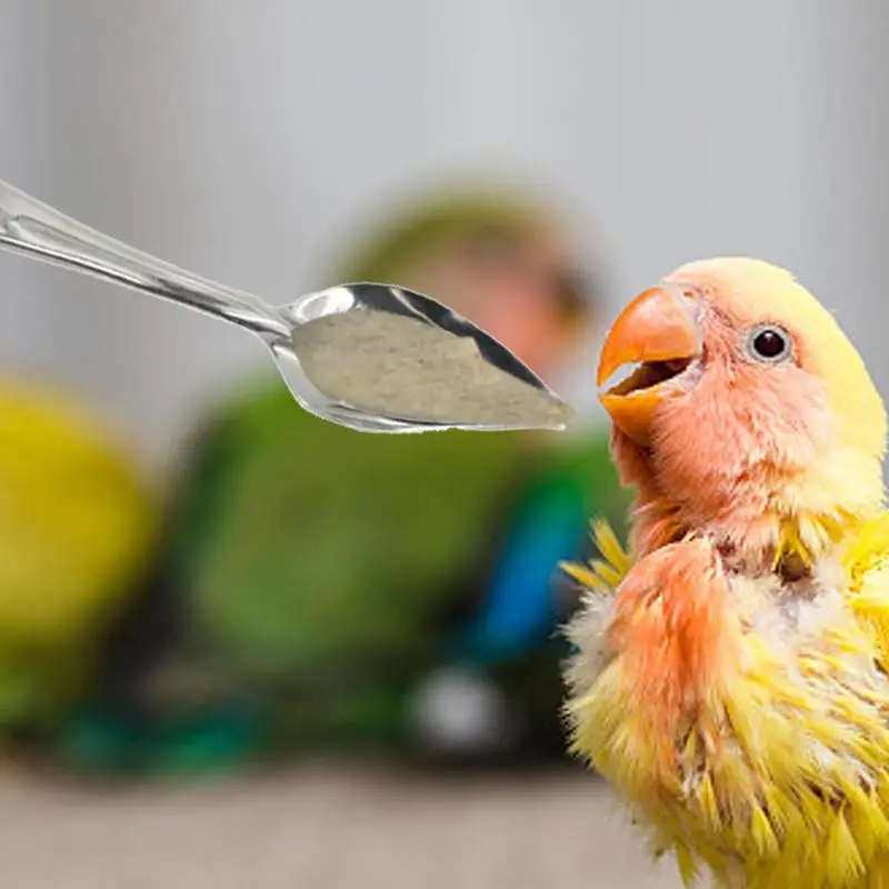 Colher de Alimentação para Pássaros de Aço Inoxidável 12 cm - Imagem 4