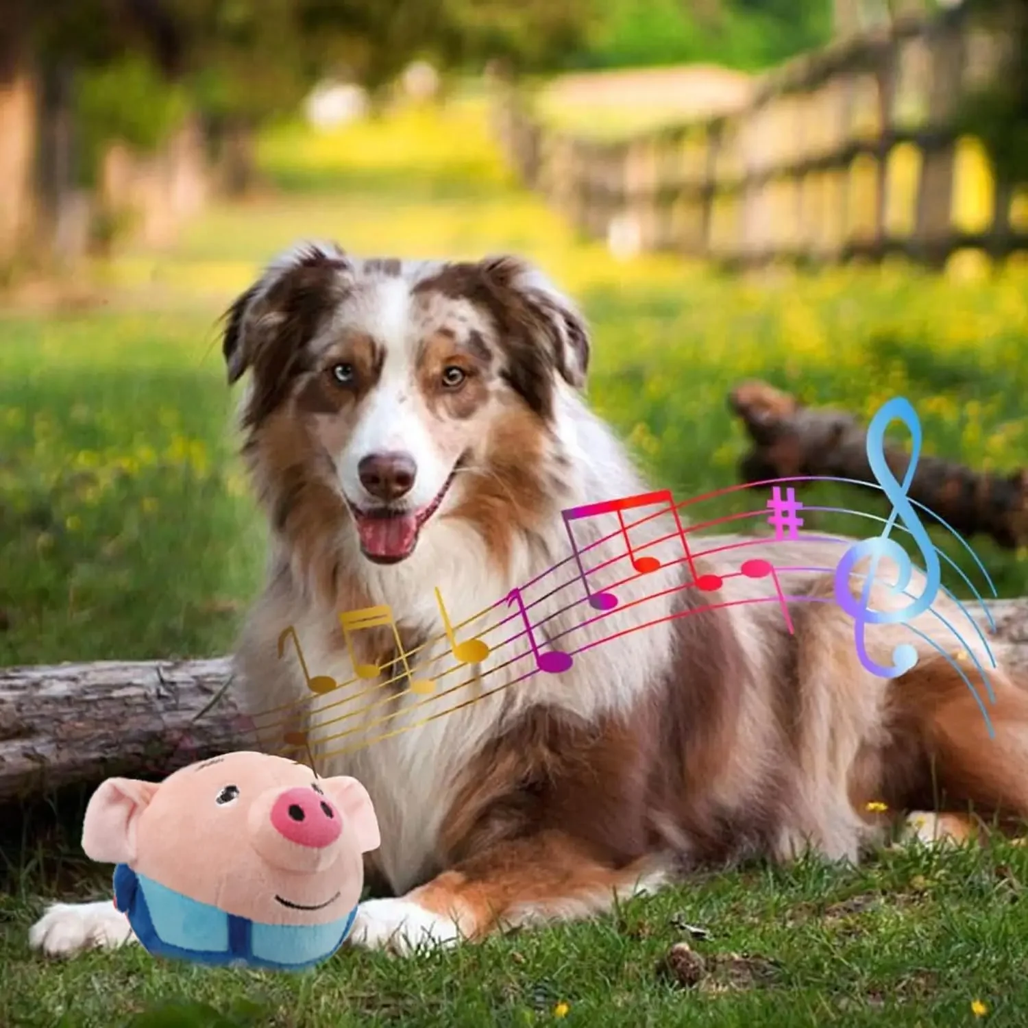 Brinquedo Interativo para Cães e Gatos de Pelúcia com Música Recarregável USB - Imagem 5