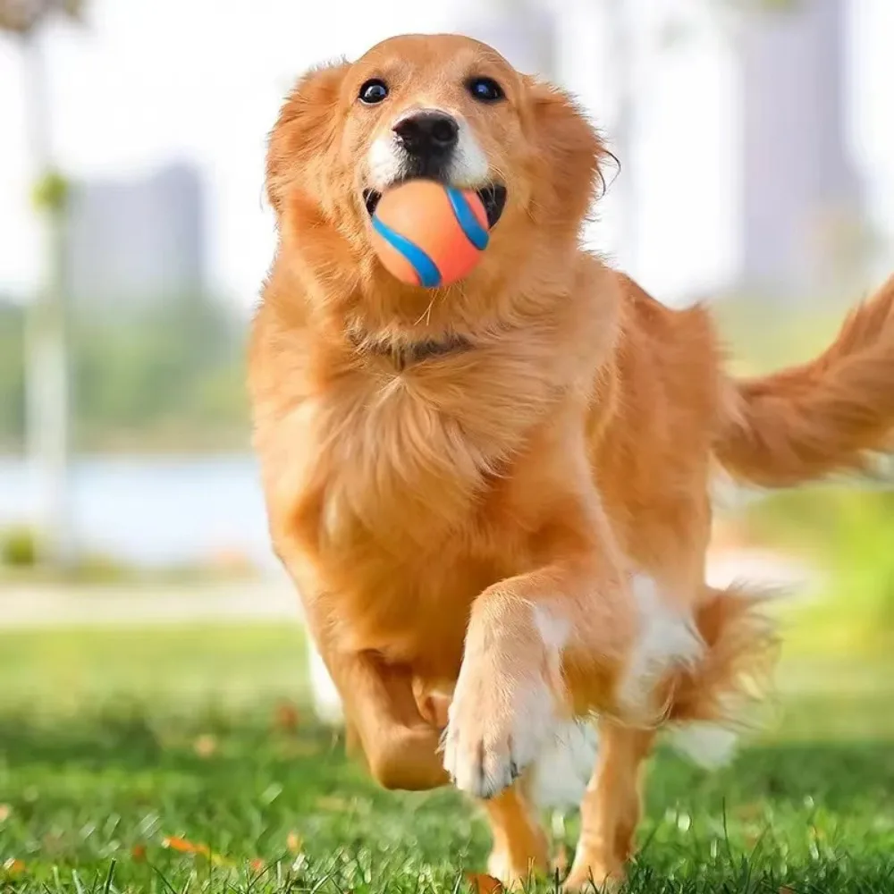 Bola de Brinquedo para Cães Sólida Elástica para Pular - Imagem 3
