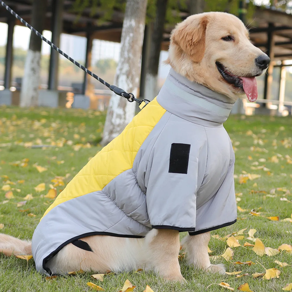 Macacão Impermeável para Cães Grandes de Algodão Quente - Image 4