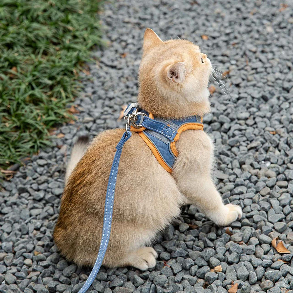 Colete Refletivo para Cães e Gatos de Camurça com Guia - Imagem 5