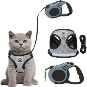 coleira para gatos
