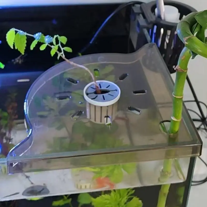 Prateleira de Canto para Aquário de Acrílico 19,5 cm com Encaixe - Imagem 4