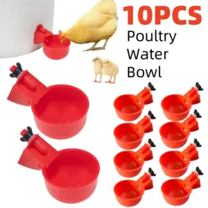 bebedouro automático para aves suspenso
