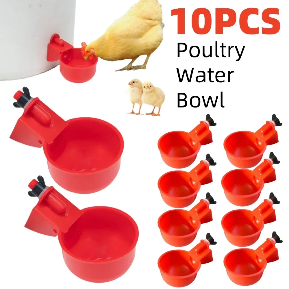 bebedouro automático para aves suspenso