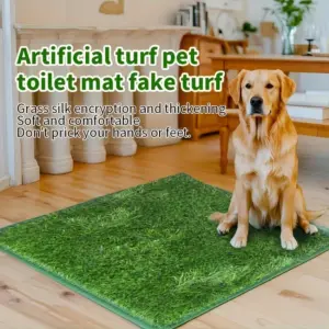 esteira de treinamento lavável para cães