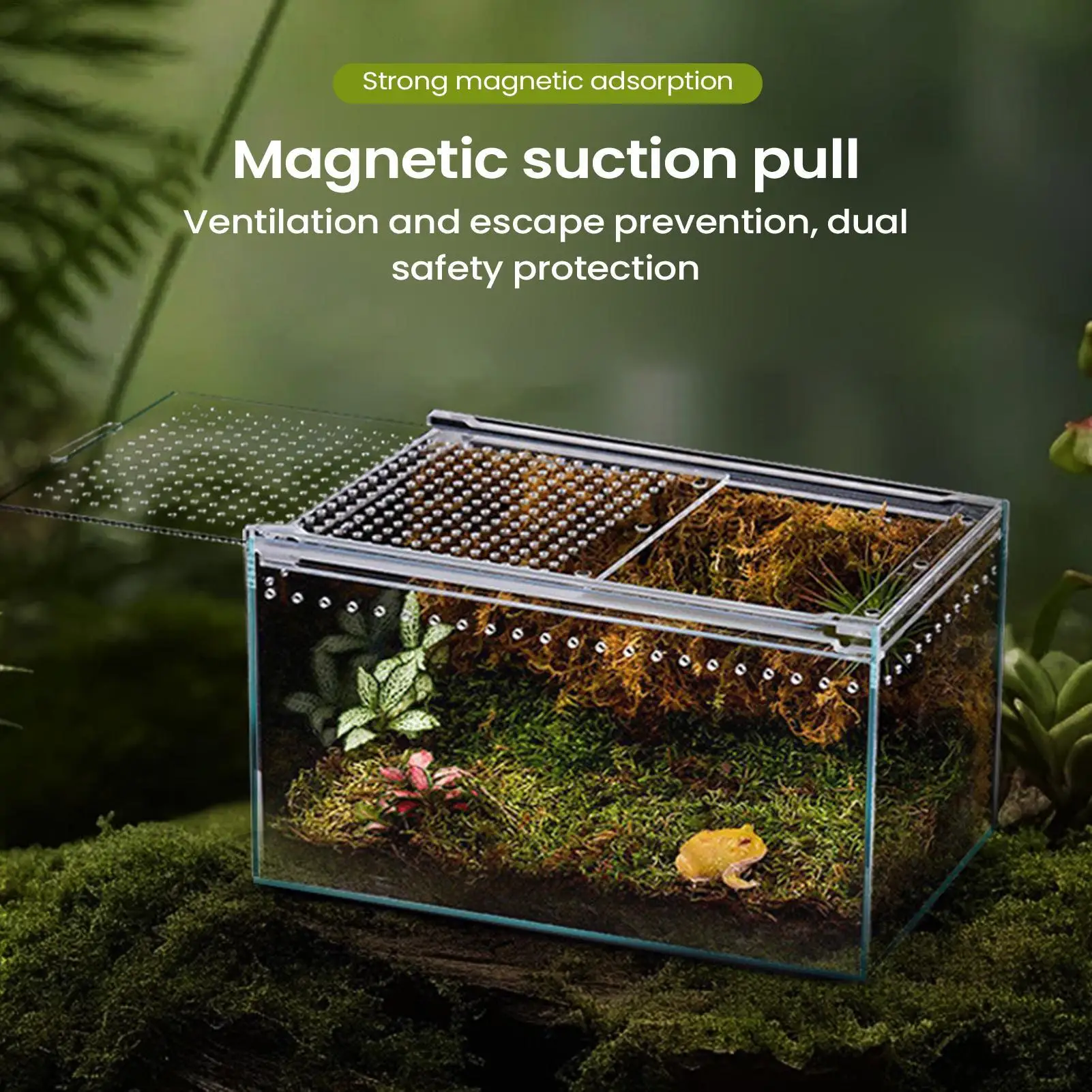 Terrário para Répteis de Acrílico Transparente com Ventilação - Imagem 2