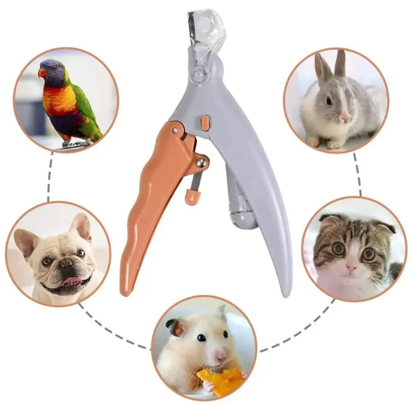 Tesoura de Unha para Cães e Gatos com LED e Lâmina de Aço Inoxidável - Imagem 3