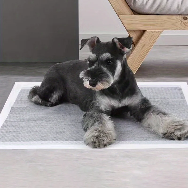 Tapete Higiênico para Cães com Absorção Rápida e Fator de Indução - Imagem 2