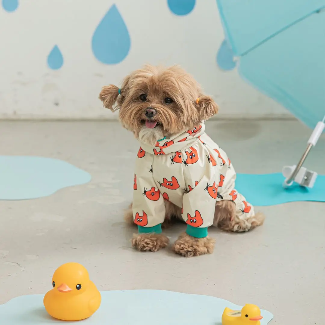 Capa de Chuva para Cães Pequenos Impermeável com Arnês Integrado - Image 4