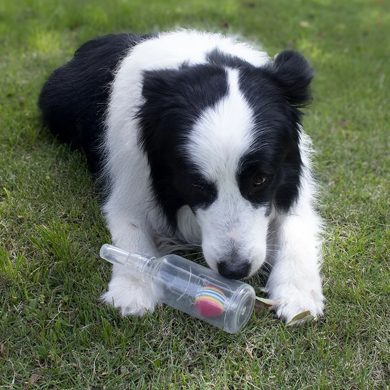 Brinquedo para Cães Garrafa de Cerveja com Bola de Tênis e Som - Imagem 2