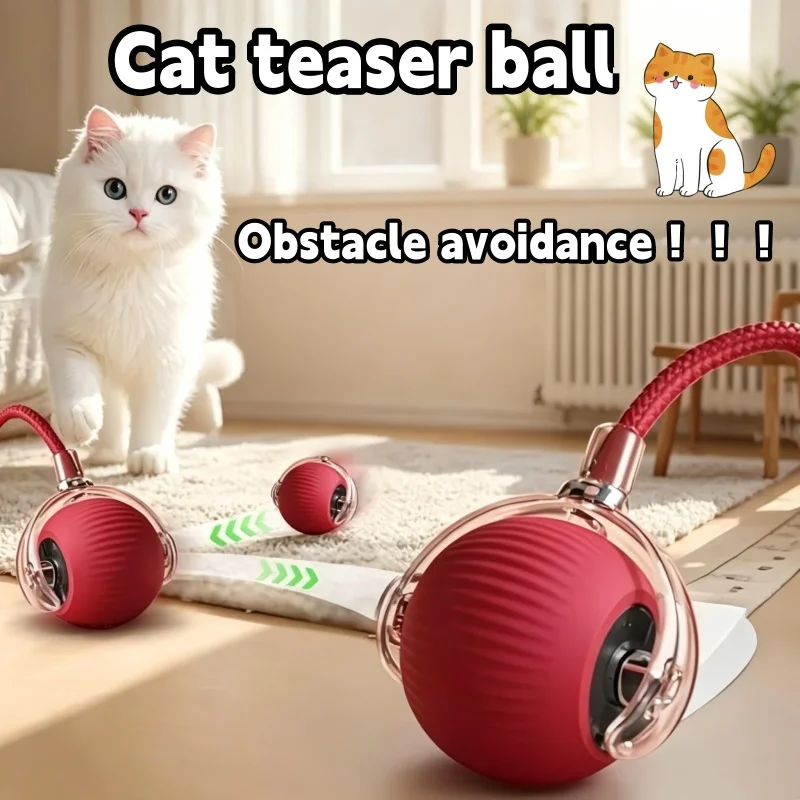 brinquedo bola rolante para gatos
