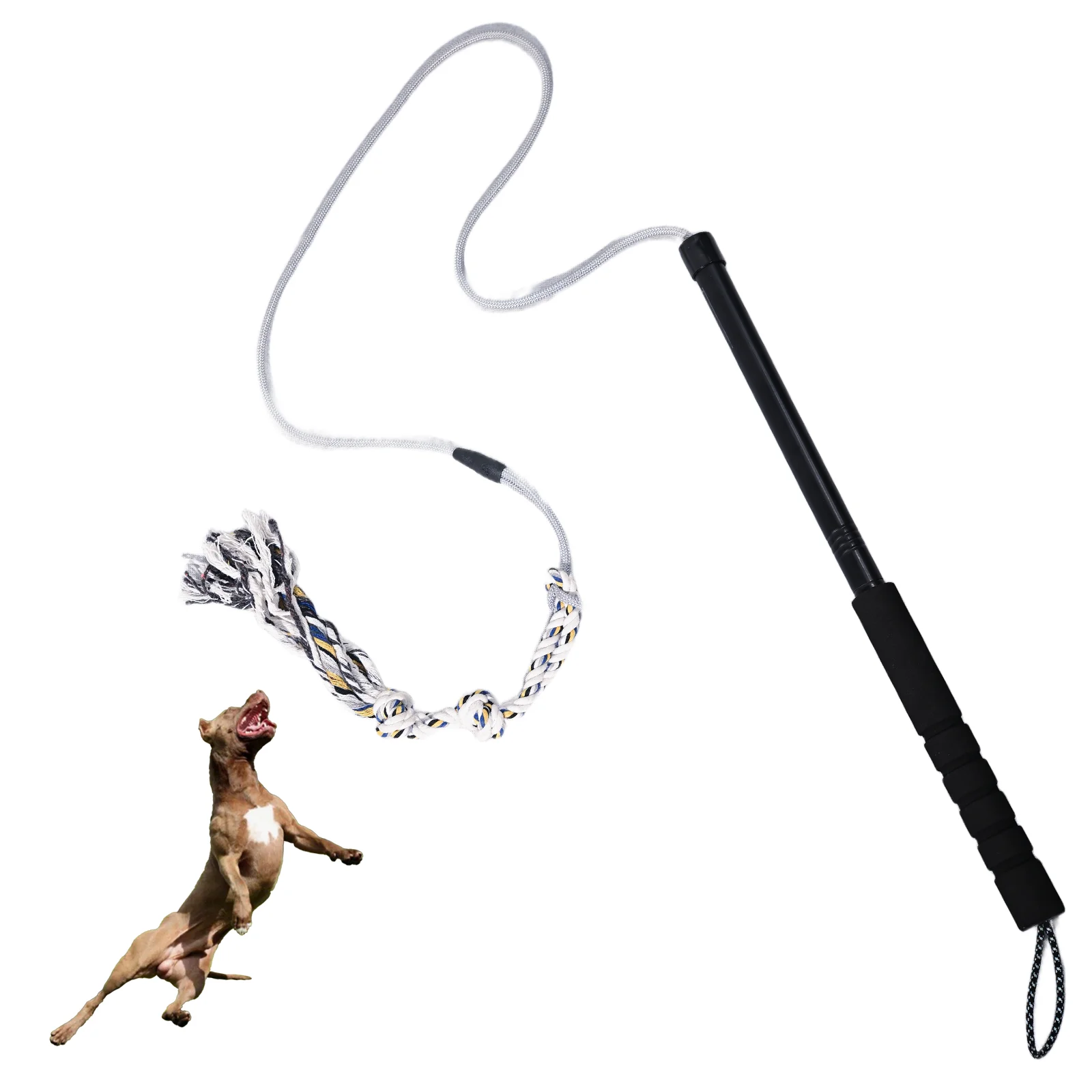 pólo de flertar para cães