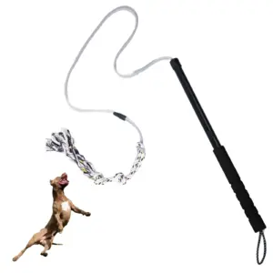 polo de flertar para cães