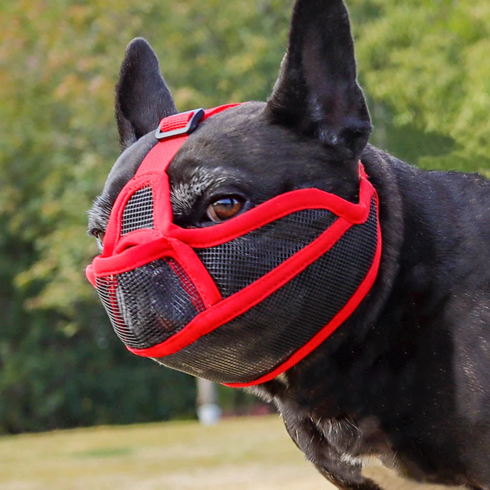 Focinheira Ajustável para Bulldog Francês de Nylon com Fecho de Fivela - Image 3