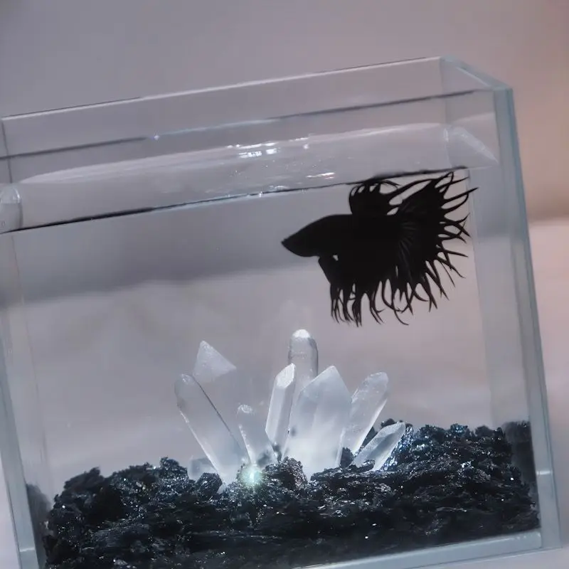 Coluna de Cristal para Aquário, Caverna e Abrigo de Resina - Imagem 4