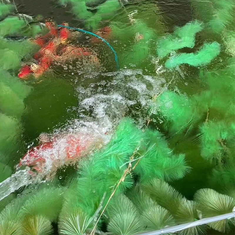 Grama de Incubação para Peixes de 60 cm com Cerdas Macias - Imagem 6