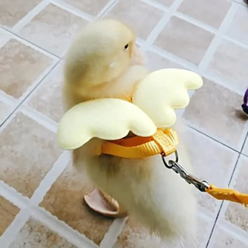 Coleira Peitoral para Gatos e Cães Pequenos de Nylon Ajustável - Imagem 4
