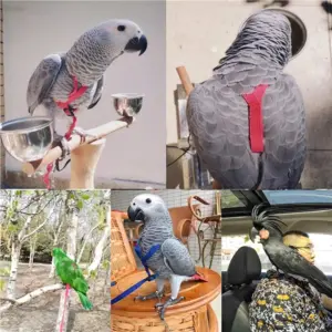 coleira peitoral para pássaros de nylon