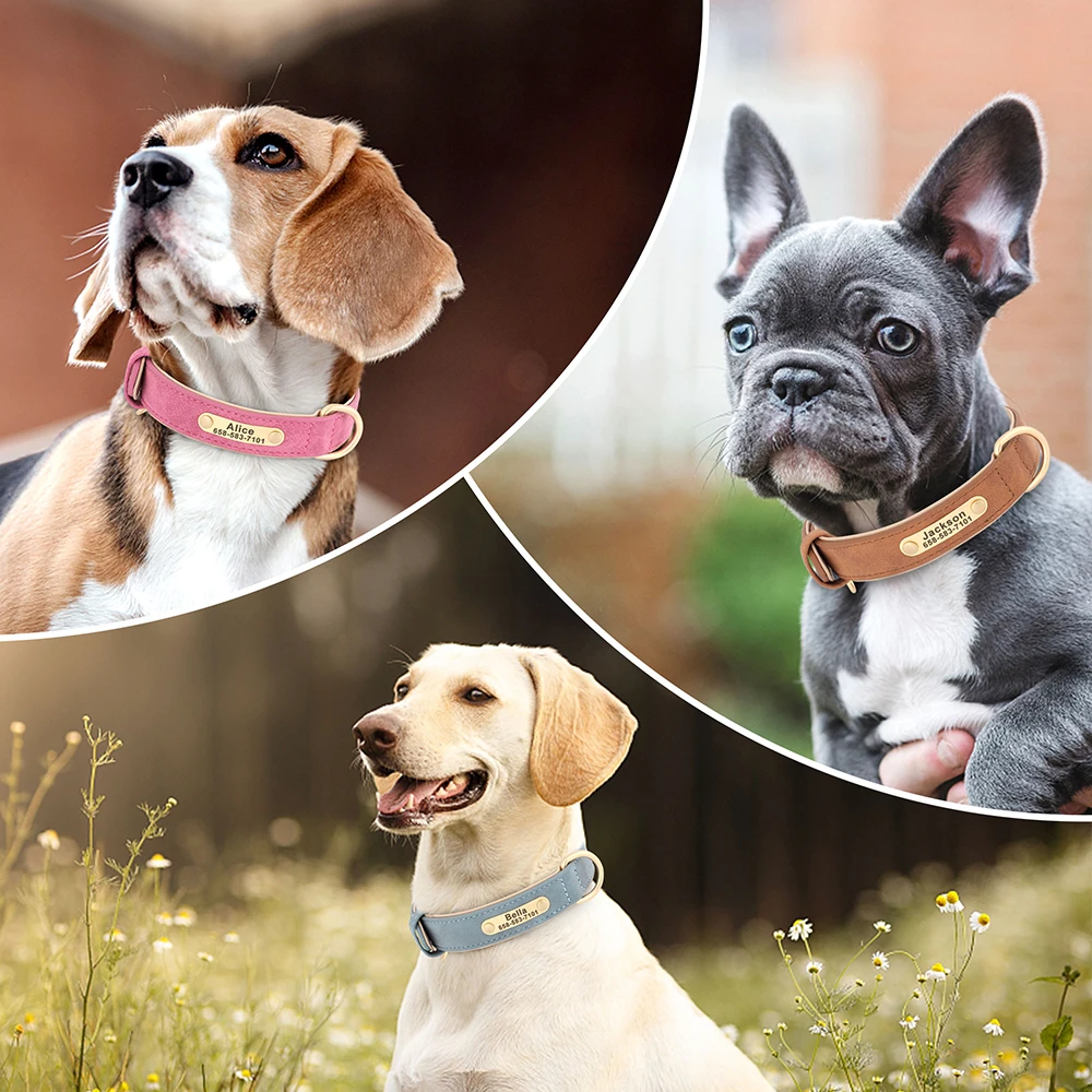 Coleira para Cães em Couro PU com Gravação Gratuita - Image 6