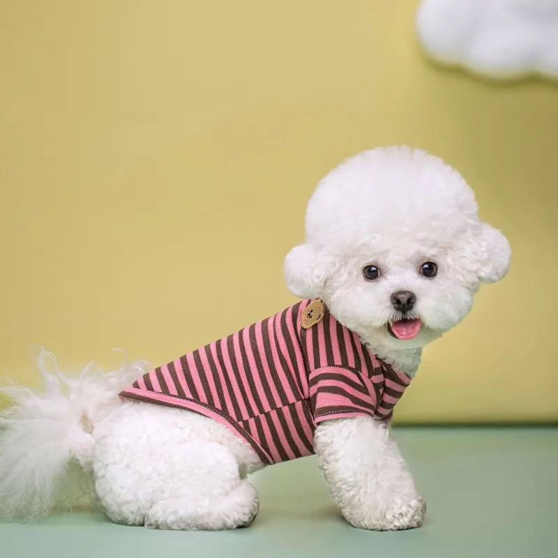 Colete de Algodão para Cães com Estampa de Urso Listrado - Image 5