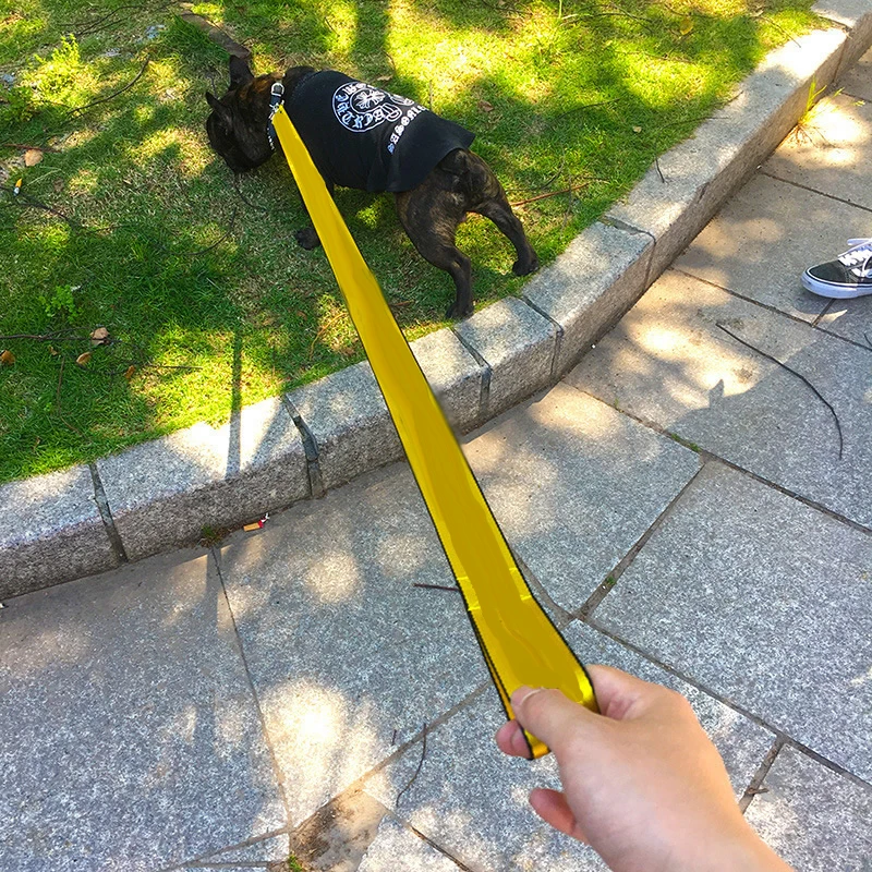 Coleira e Guia para Cães de Nylon 1.6 m Ajustável - Imagem 4