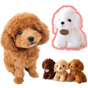brinquedo de pelúcia para cães