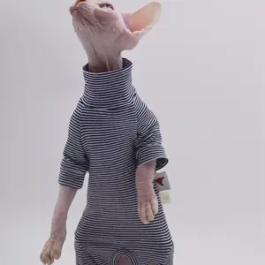 roupa para gatos sem pelos