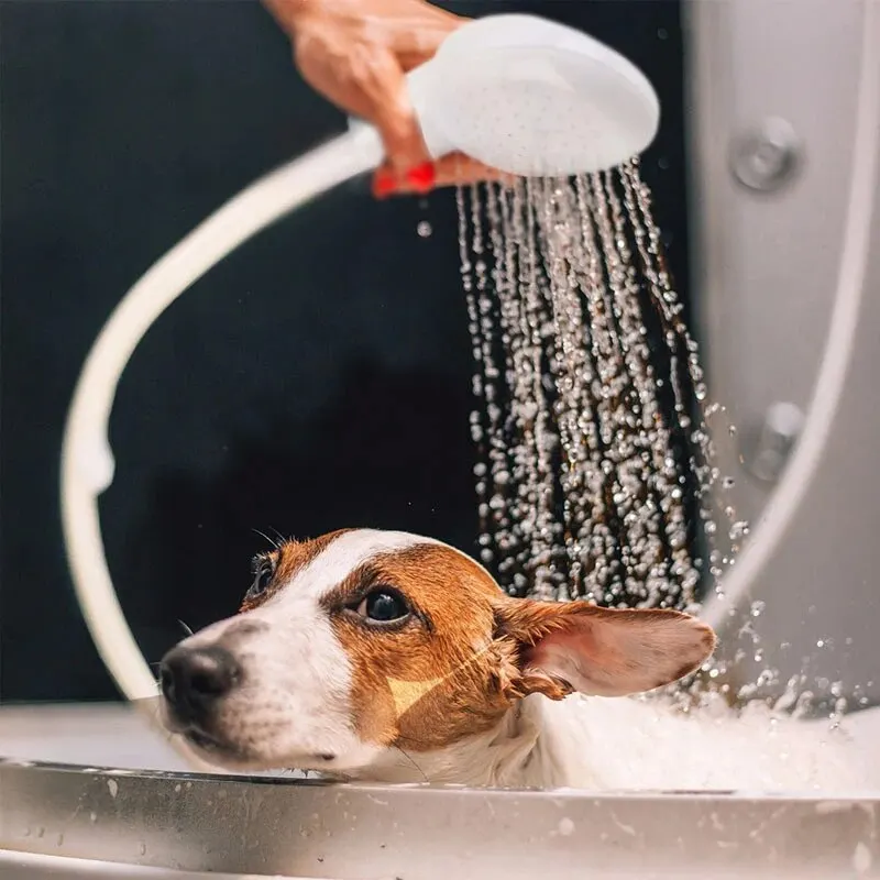 Chuveiro para Cães e Gatos de 1,1 m para Banho na Torneira - Imagem 2