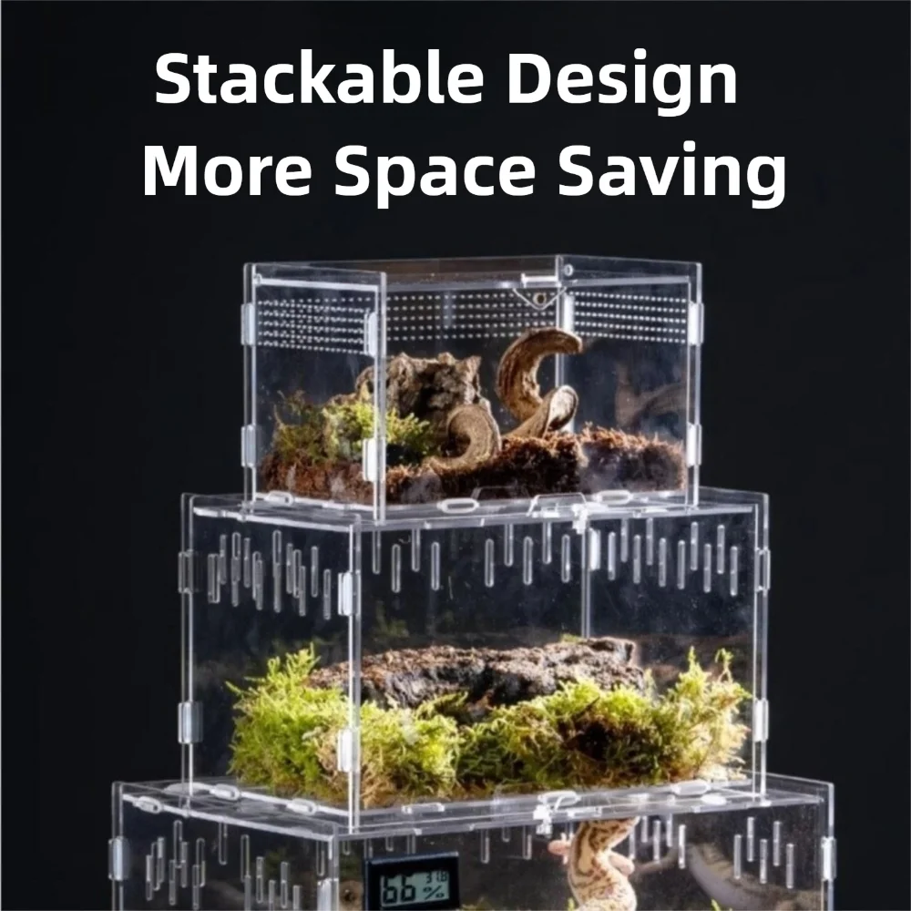 Habitat Acrílico para Répteis Transparente com Sistema Anti-Fuga - Imagem 3
