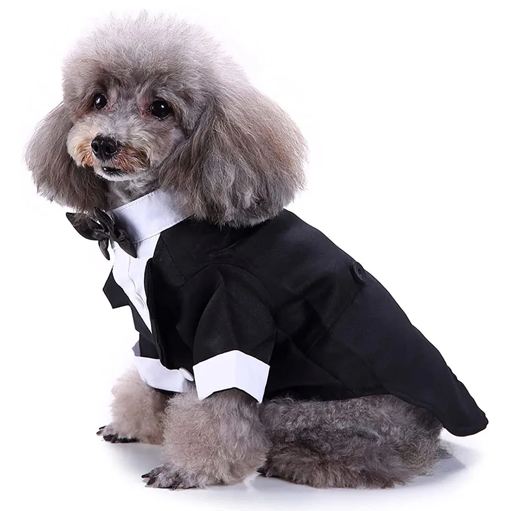 roupa social pet para cães e gatos