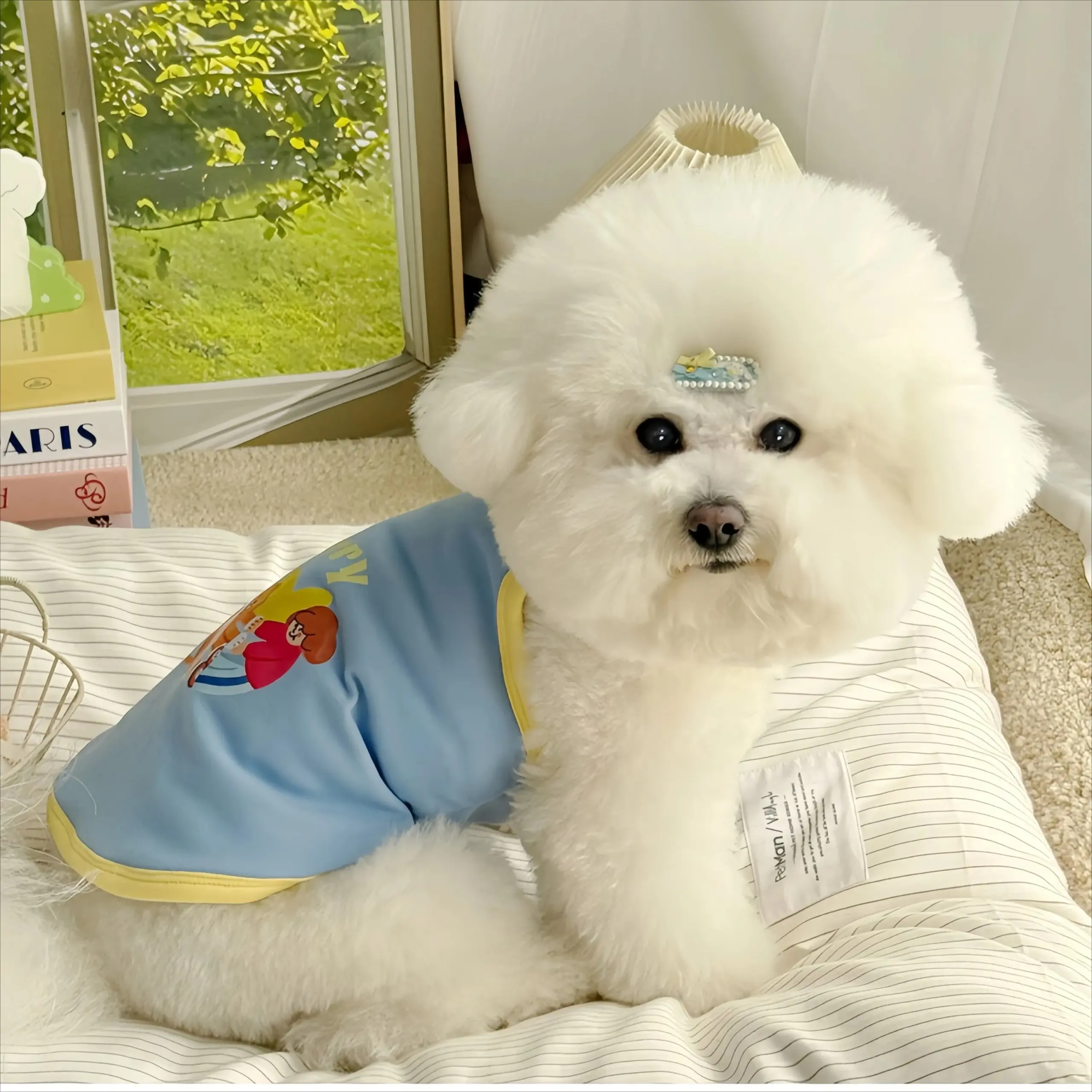Vestido Respirável para Cães e Gatos Pequenos para Verão - Image 6