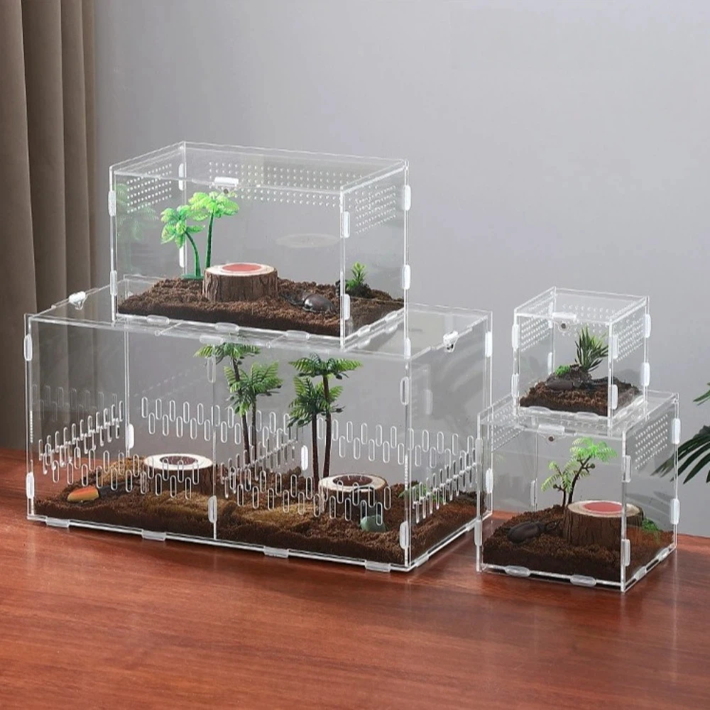 Terrário Acrílico para Aranha Saltadora 40x20x20cm com 2 Portas - Imagem 2