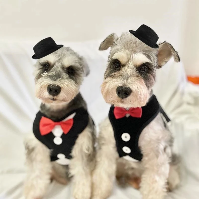 Coleira Peitoral Floral para Cães e Gatos de Laço Ajustável - Imagem 3