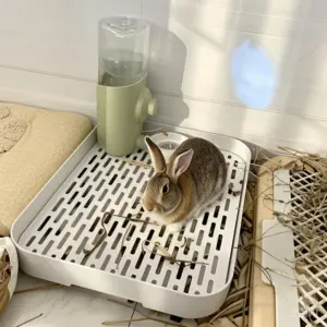 caixa de areia de canto para hamster