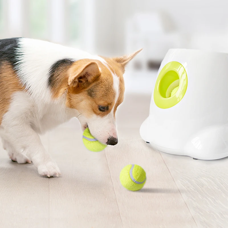 Bola de Tênis para Cães de Borracha com 5 cm para Mastigar - Imagem 4