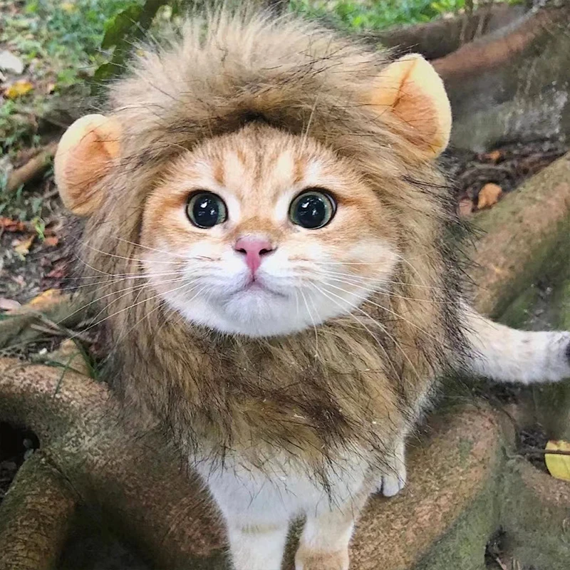 Chapéu de Leão para Gatos e Cães de Poliéster para Fotos - Imagem 2