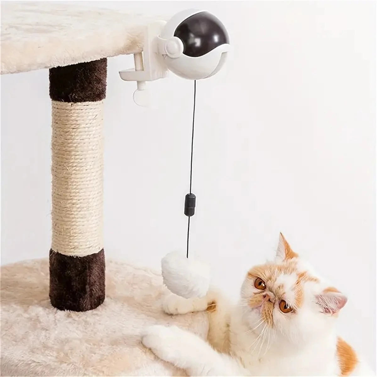 Brinquedo Elétrico para Gatos com Bola Retrátil Automática para Mesa - Imagem 6