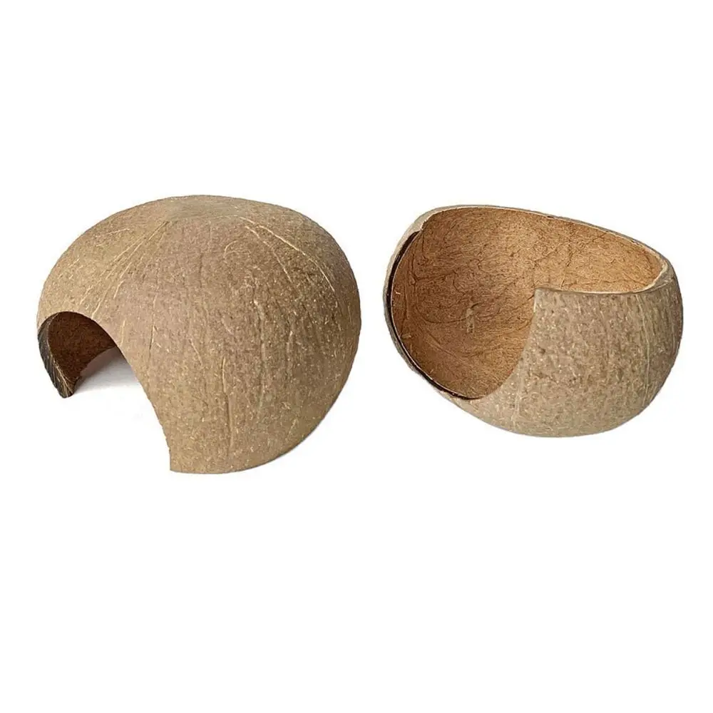 Ninho de Casca de Coco Natural para Répteis e Hamsters 6x10,5 cm - Imagem 5